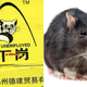 Illustration for article titled Who Knew Selling Super Strong Rat Poison 60 Times More Powerful Than Generic Rat Poison Was a Bad Thing?